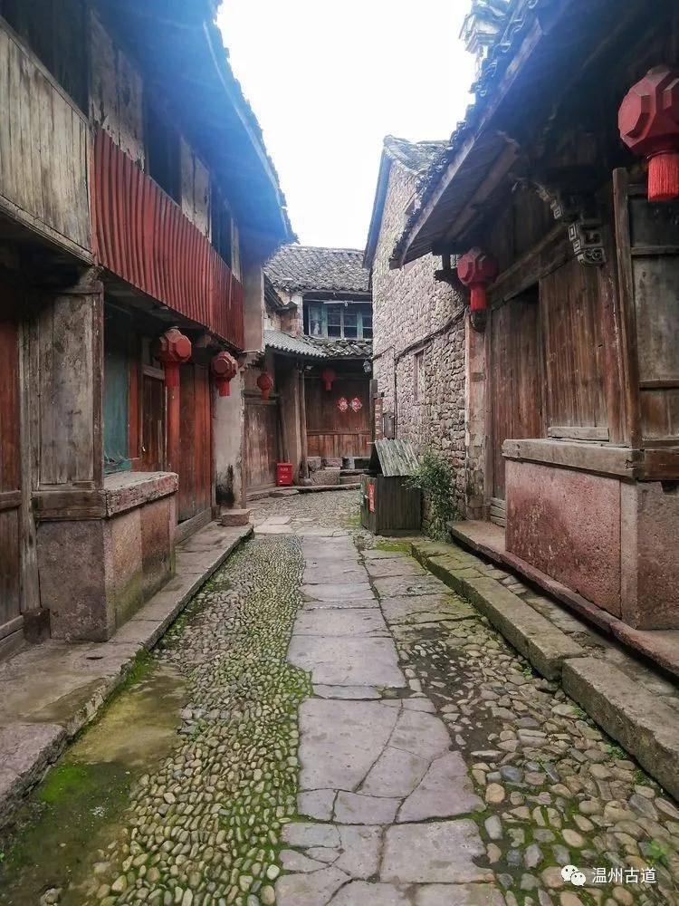 《狼殿下》毫无预警的播出,肖战重回顶流只是时间问题-全新知识问答网页,解答你的疑惑